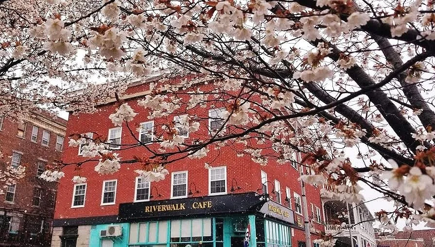 Riverwalk Bakery and Cafe business photo
